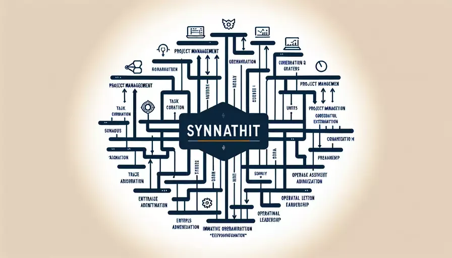 项目管理近义词有哪些