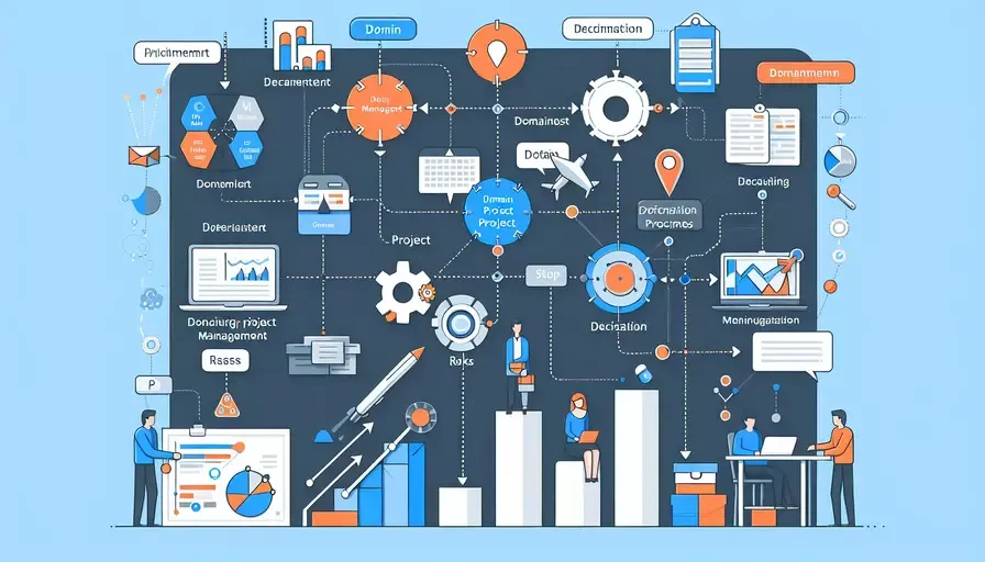 什么是领域项目管理