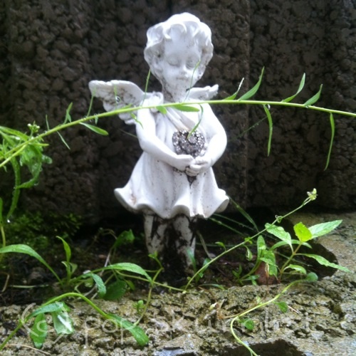 (c) pop skurrilist (c) pop skurrilist