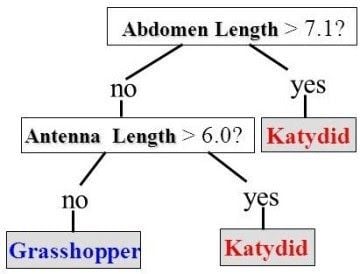 classification-tree
