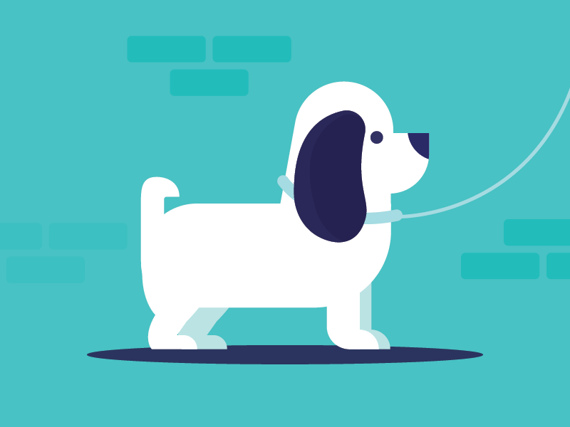 dog