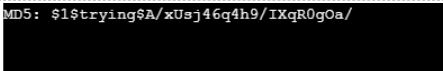 MD5