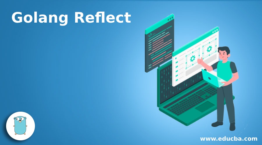 Golang Reflect