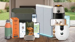 Selection of dog care gadgets in a living room