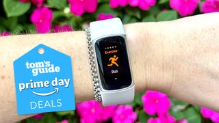 Fitbit Charge 6 on a user's wrist with a grey strap and purple flowers in the backgroun