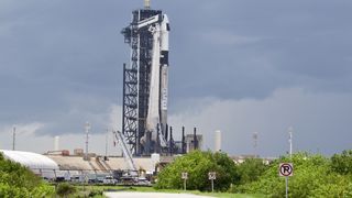 A black and white rocket with crew capsule at the top, connected to a gantry leading to a black tower. In the foreground, short bushes in front of the launch pad.