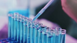 A close up image of a pipet depositing a solution into a row of test tubes.