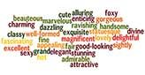 Creating Visual Six Word Stories--Ending the School Year with My First Lesson Ever!
