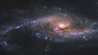 The starburst galaxy NGC 4536, seen here in a photo by the Hubble Space Telescope, has bright blue clusters of baby stars and pink clumps of ionized hydrogen gas speckled throughout its sweeping spiral arms.