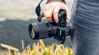 Nikon Z 24-105mm f/4-7.1 lens in action, attached to a Nikon Z5 II