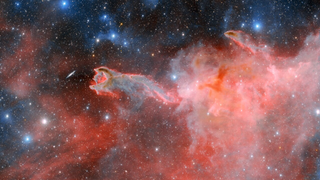 The cometary globule God's Hand as seen by the Dark Energy Camera