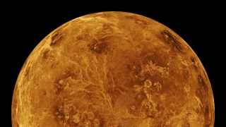 A view of the top of Venus