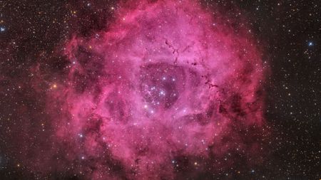 A pink rose-shaped nebula is shown glowing against a background of multicolored stars.