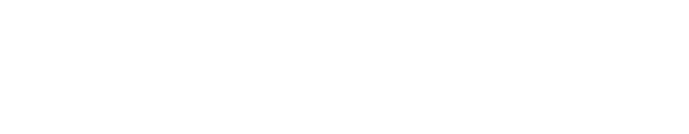 Skyline Cabinetry logo with the company name 'SKYLINE CABINETRY' in bold, uppercase font with a stylized bird symbol.