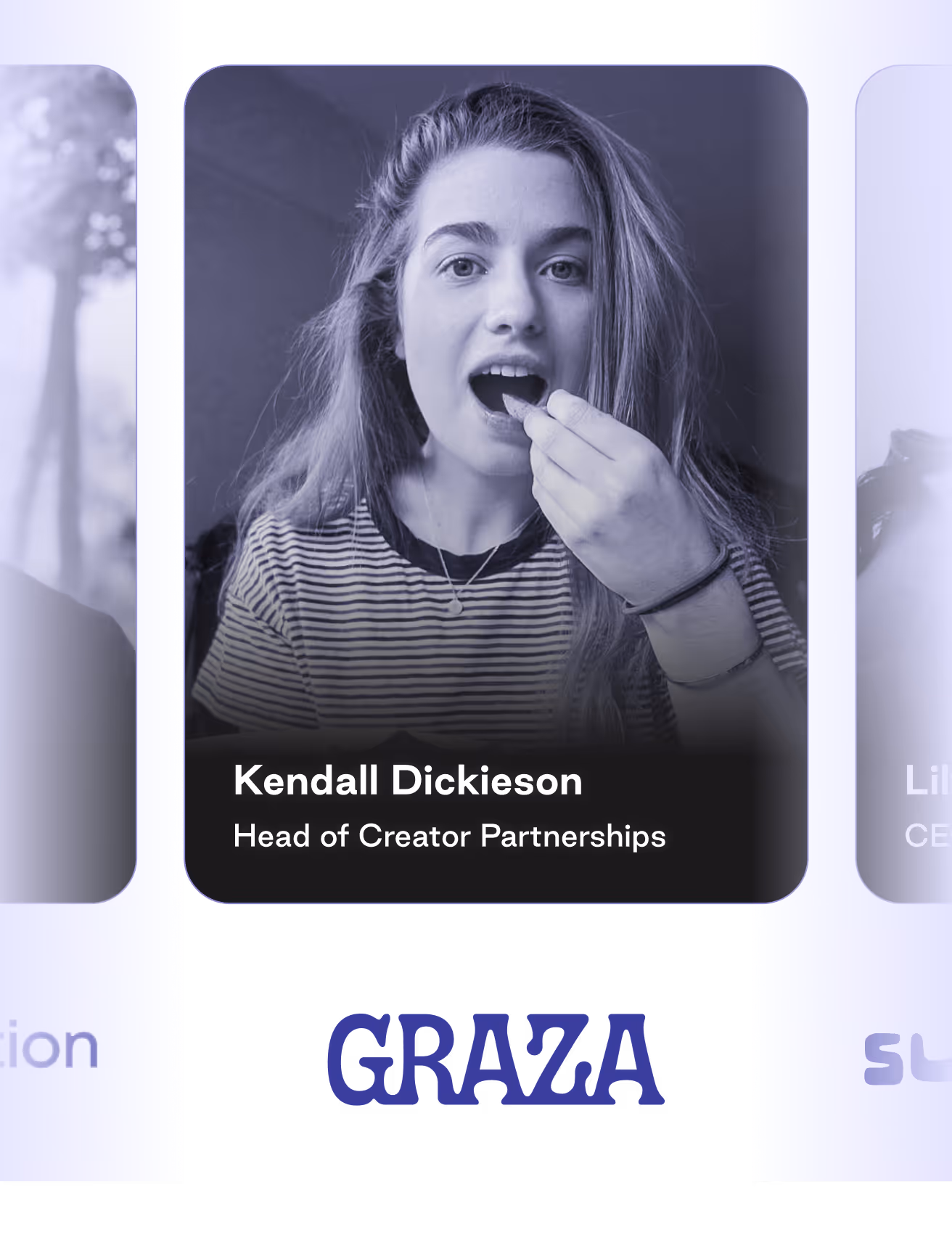 field guide home illustration