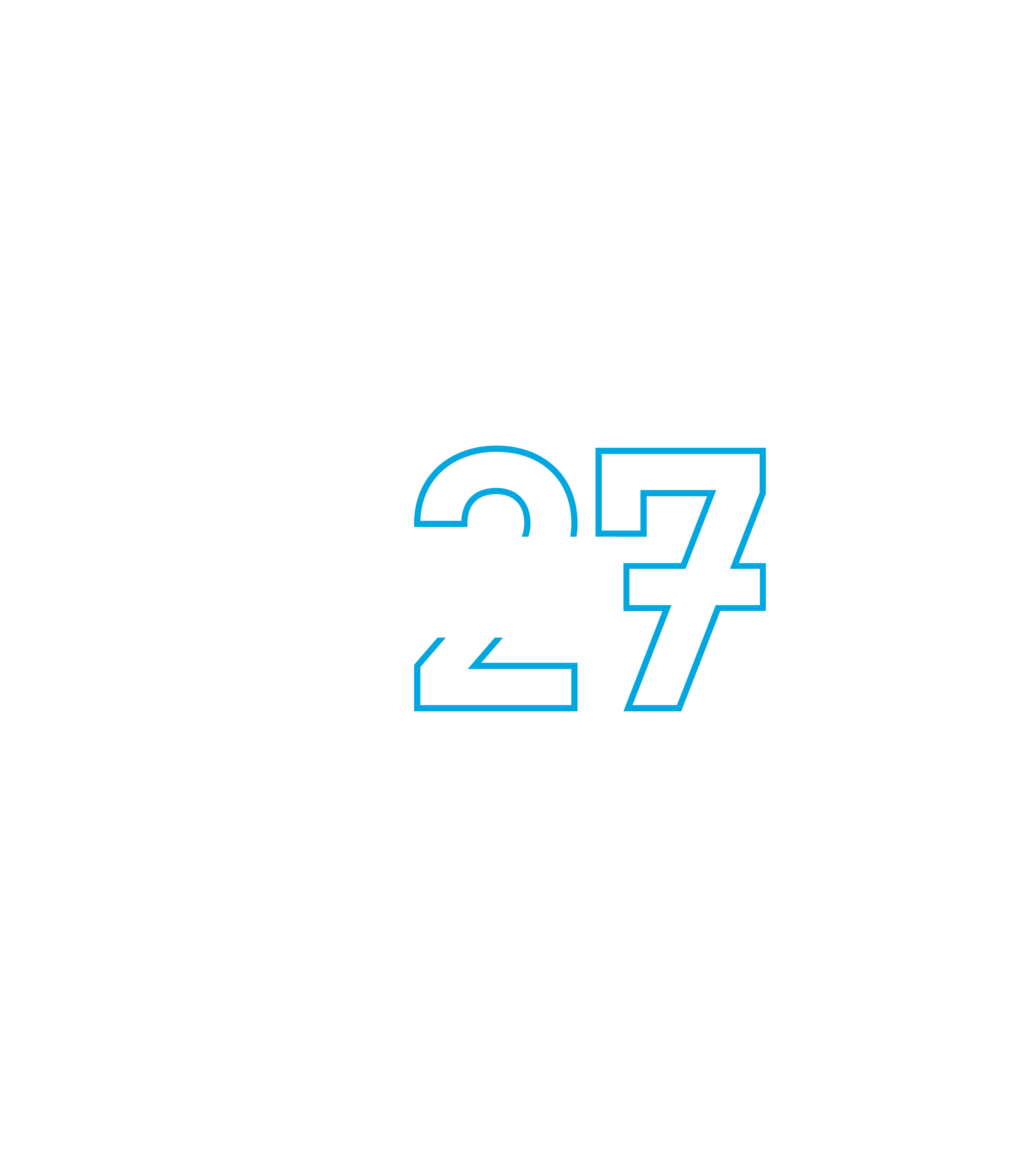 DSU Cyber 27 logo