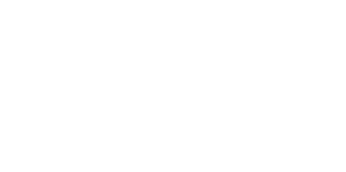 Bison Ventures logo in White with Icon and text.
