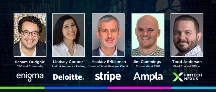 Image depicting webinar panel