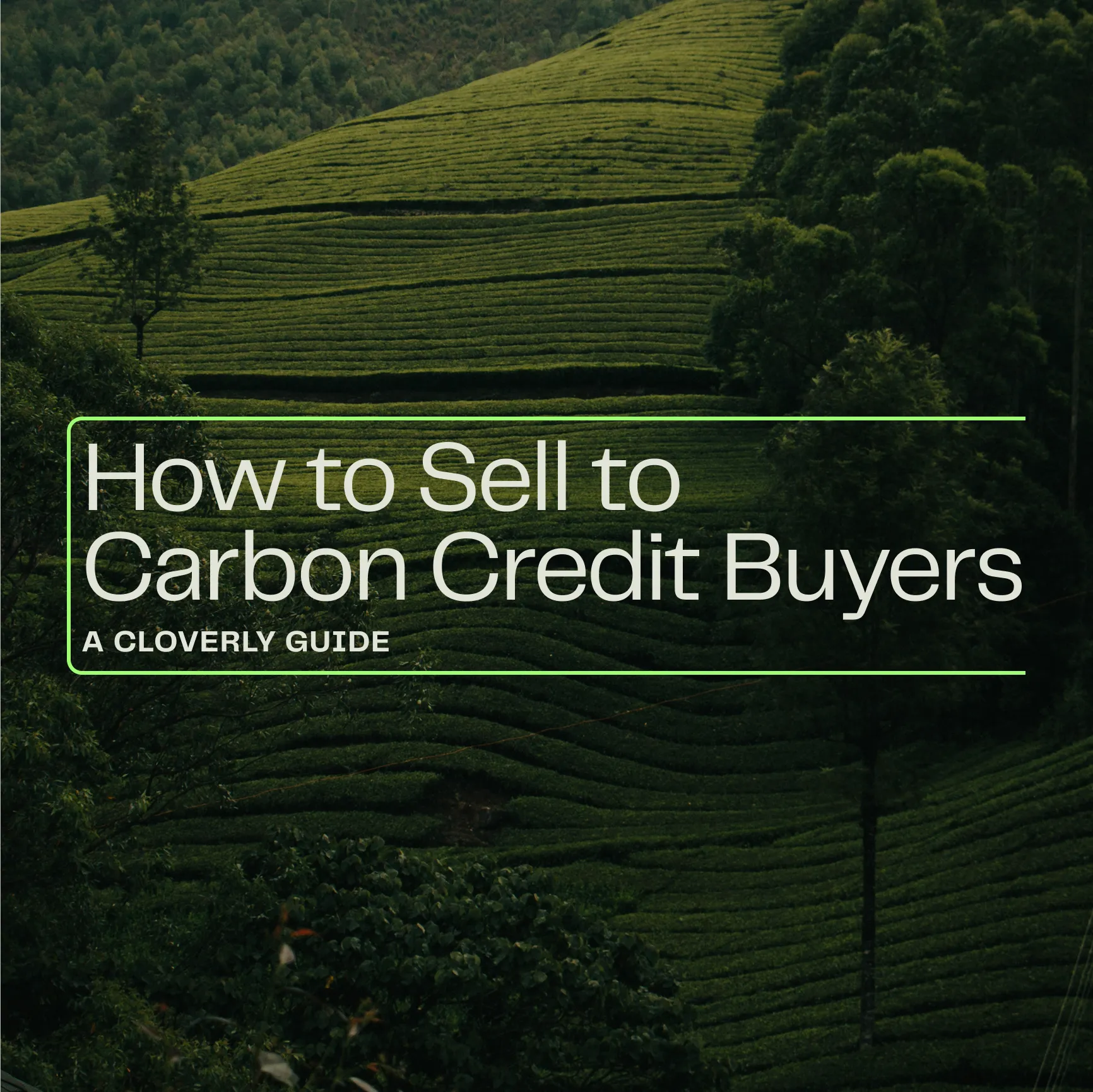 How to Sell to Carbon Credit Buyers white paper cover image