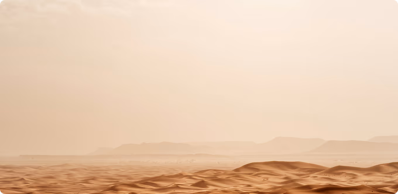 A view of the desert