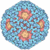 January is Cervical Cancer Awareness Month