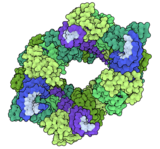 Structural Biology and Nobel Prizes