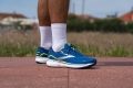 Brooks Ghost 15