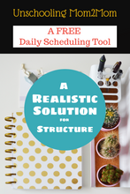 Book: A Realistic Solution to Structure