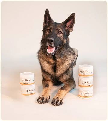 Rectangle 22.webp__PID:ced7517e-eddd-4c9e-85f6-1232d5690a9d