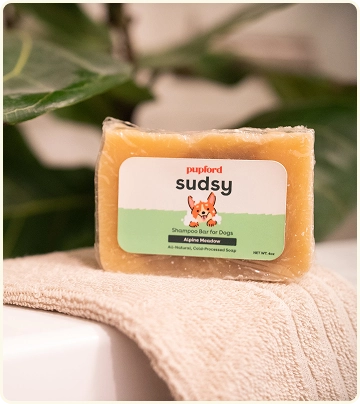 Rectangle 23.webp__PID:c7ced751-7eed-4d1c-9e05-f61232d5690a