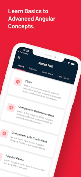 Learn Angular: AngularDev PRO Screenshot