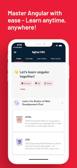 Learn Angular: AngularDev PRO Screenshot