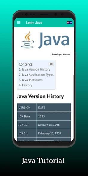 Learn Java Programming: Coding Screenshot