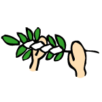 玉串奉奠の作法