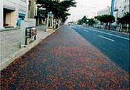 ロ-ルドアスファルト舗装