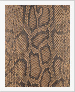 ビルマニシキヘビ