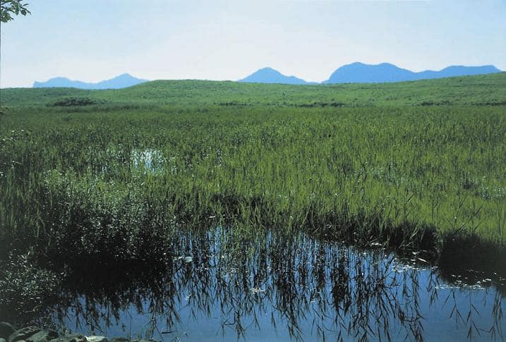 曽爾高原湧水群