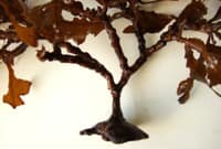 オオバノコギリモク