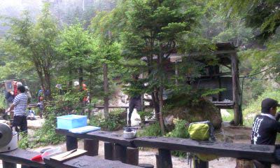 ホソムネシラホシヒゲナガコバネカミキリ