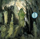 秩父多摩甲斐国立公園