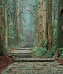 吉野熊野国立公園