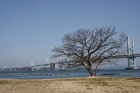 沙弥島海水浴場