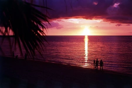 リザンシーパークビーチ