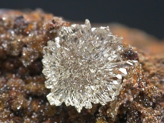 オースチナイト