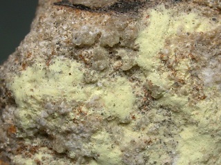 ココニノアイト