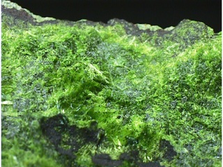 銅スクロドフスカ石