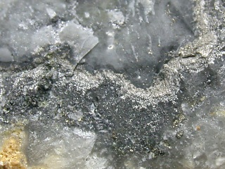 ゴールドフィールド鉱