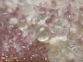 ハールバット石