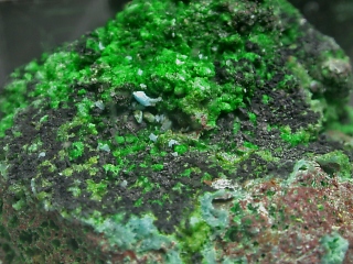 カムチャッカ石