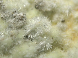 メタムニライト